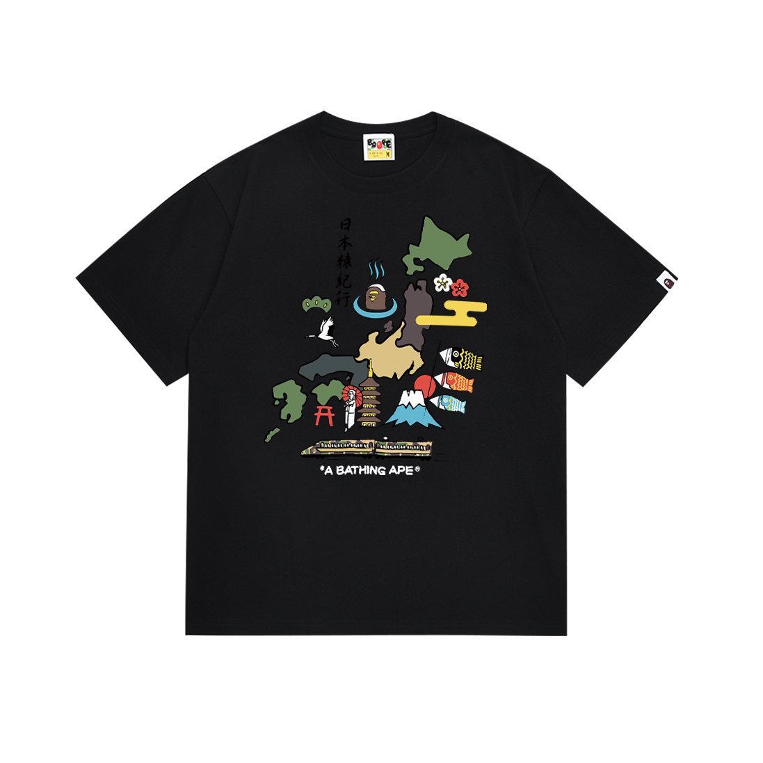 BAPE Japan Map Graphic T-Shirt